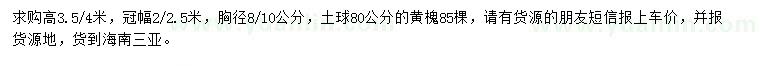 求購3.5、4米黃槐