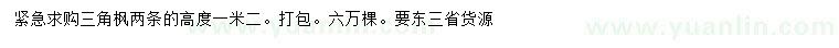 求購高1.2米三角楓