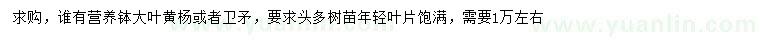 求購大葉黃楊、衛(wèi)矛