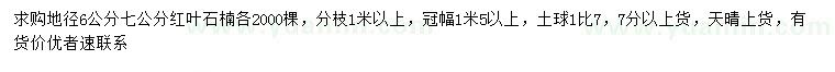 求購(gòu)地徑6、7公分紅葉石楠
