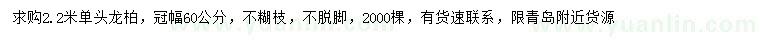 求購2.2米單頭龍柏