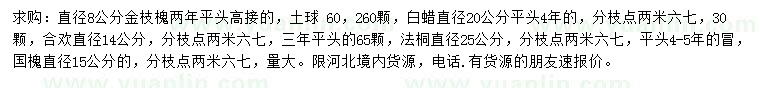 求購金枝槐、白蠟、合歡等