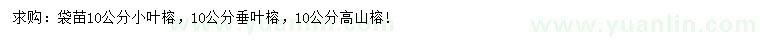 求購小葉榕、垂葉榕、高山榕