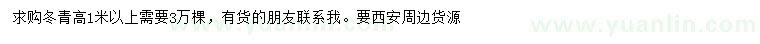 求購高1米以上冬青