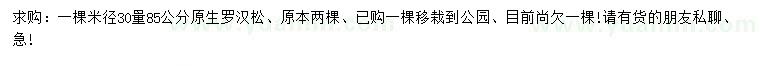 求購米徑30量85公分原生羅漢松