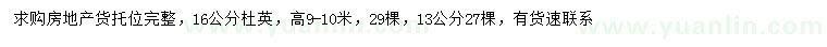 求購13、16公分杜英