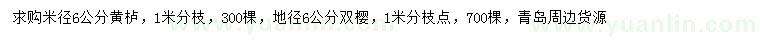 求購米徑6公分黃櫨、地徑6公分雙櫻