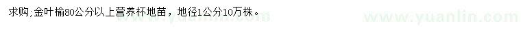 求購80公分以上金葉榆