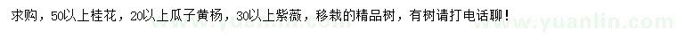 求購(gòu)桂花、瓜子黃楊、紫薇