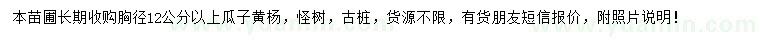 求購胸徑12以上瓜子黃楊