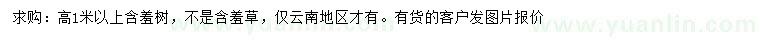 求購(gòu)高1米以上含羞樹