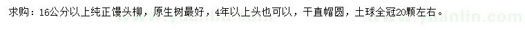 求購16公分以上饅頭柳
