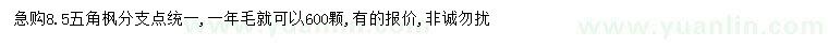 求購(gòu)8.5公分五角楓