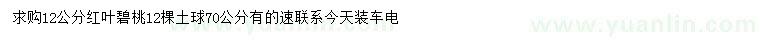 求購12公分紅葉碧桃
