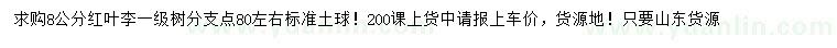 求購8公分紅葉李
