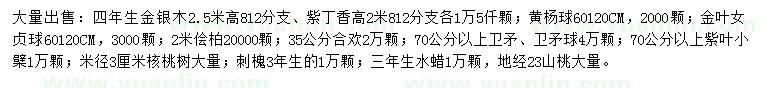 求購金銀木、紫丁香、黃楊球等