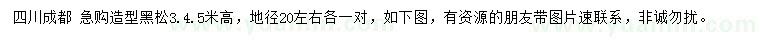 求購高3、4、5米黑松
