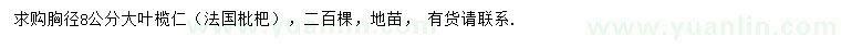 求購(gòu)胸徑8公分大葉欖仁