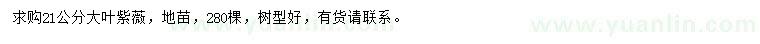 求購(gòu)21公分大葉紫薇
