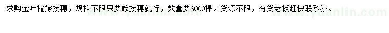 求購金葉榆嫁接穗