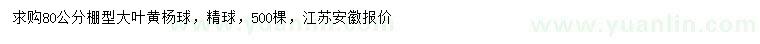 求購80公分大葉黃楊球
