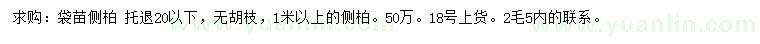求購1米以上側(cè)柏