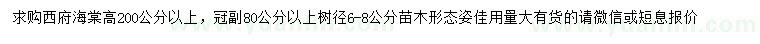 求購高200公分以上西府海棠