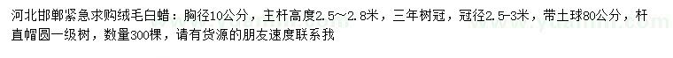 求購胸徑10公分絨毛白蠟