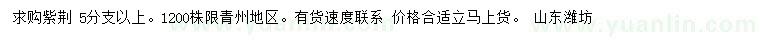 求購5公分以上紫荊