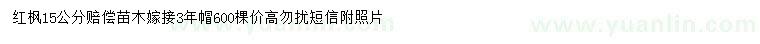 求購15公分紅楓