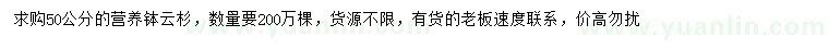 求購(gòu)50公分云杉
