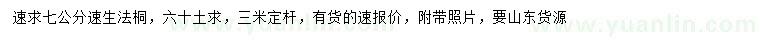 求購7公分速生法桐
