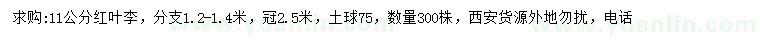 求購11公分紅葉李