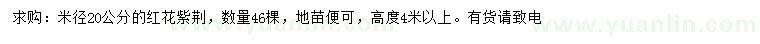 求購米徑20公分紅花紫荊