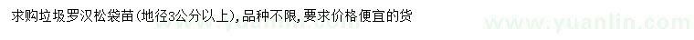 求購地徑3公分以上垃圾羅漢松