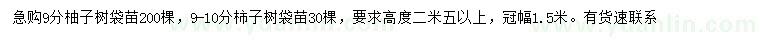 求購9分柚子樹、9-10分柿子樹