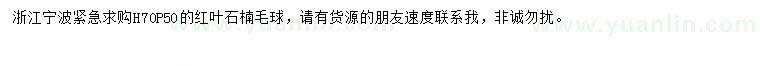 求購高70公分紅葉石楠