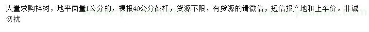 求購地徑1公分梓樹