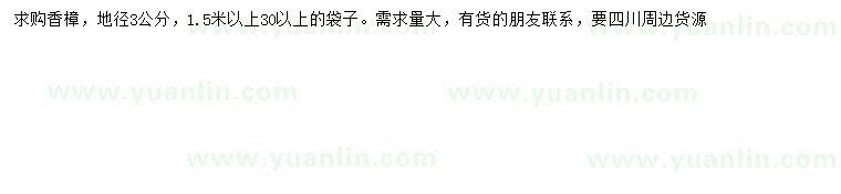 求購地徑3公分香樟