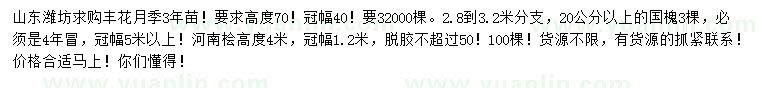 求購豐花月季、國槐、河南檜