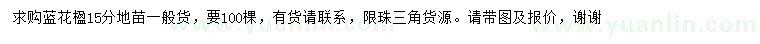 求購15公分藍(lán)花楹