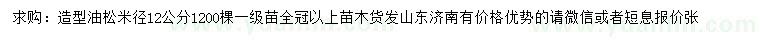 求購米徑12公分造型油松