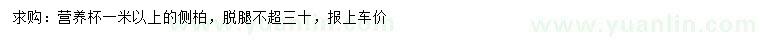 求購1米以上側(cè)柏