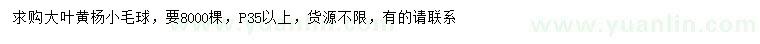 求購冠幅35公分大葉黃楊小毛球