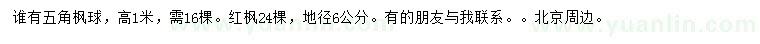 求購高1米五角楓球、地徑6公分紅楓