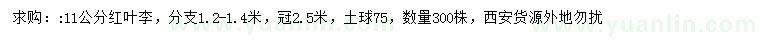 求購1公分紅葉李