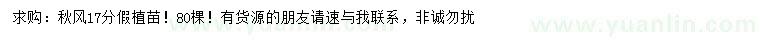 求購17公分秋楓假植苗