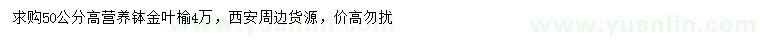 求購高50公分金葉榆