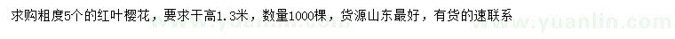 求購5公分紅葉櫻花