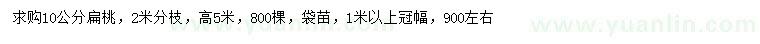 求購10公分扁桃